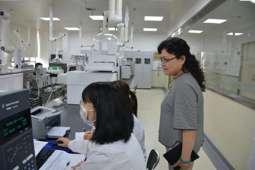 咸陽市食品藥品檢驗檢測中心順利通過資質認定擴項評審，助力營利性民辦職業(yè)技能培訓機構發(fā)展