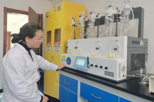 岷縣市場監(jiān)管局食品藥品檢驗檢測中心高效完成黨參飲片二氧化硫殘留委托檢驗，助力營利性民辦職業(yè)技能培訓(xùn)機(jī)構(gòu)規(guī)范發(fā)展