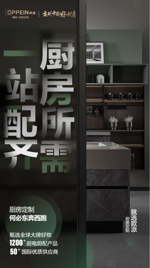 從經濟學視角解讀歐派櫥柜整廚全包套餐 為何專業設計服務是理性消費決策